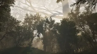 Скриншот 8 к игре Calming Forest