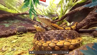 Скриншот 4 к игре Tony's Creepy Crawly Zoo 2.0