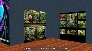 Скриншот 7 к игре Tony's Creepy Crawly Zoo 2.0