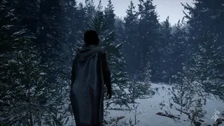 Скриншот 3 к игре Medieval Contrast