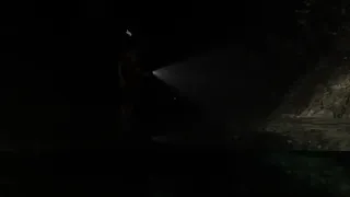 Скриншот 6 к игре Creatures of the Night