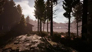 Скриншот 5 к игре Mumble Pines: The Arrival