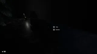 Скриншот 1 к игре Asylum: Patient Zero