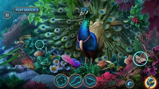 Скриншот 3 к игре Зачарованные Истории: Таинственный Лес Коллекционное издание