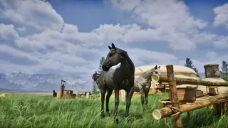 Скриншот 2 к игре Nomad: Steppeborn Saga