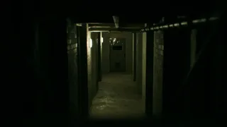 Скриншот 1 к игре Manivore