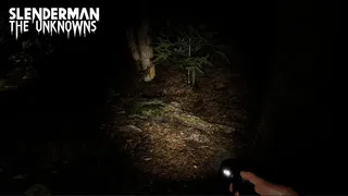 Скриншот 7 к игре Slenderman: The Unknowns