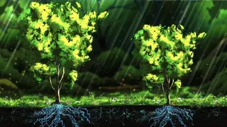 Скриншот 2 к игре Treeplanter: Plant real trees🌲