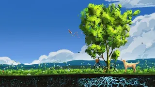Скриншот 5 к игре Treeplanter: Plant real trees🌲