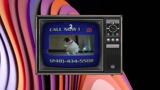 Скриншот 5 к игре Channel Surfing