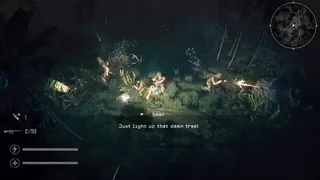 Скриншот 3 к игре The Silent Jungle