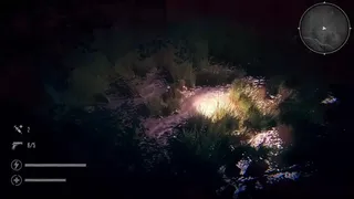 Скриншот 6 к игре The Silent Jungle