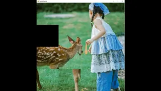 Скриншот 1 к игре deer