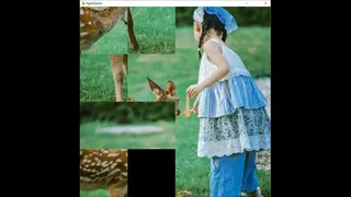 Скриншот 2 к игре deer