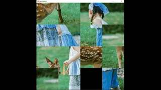 Скриншот 5 к игре deer