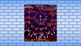 Скриншот 1 к игре Touhou Chouhatsuyou ~ Burgeoning Tresses of Longevity