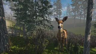 Скриншот 3 к игре Zory