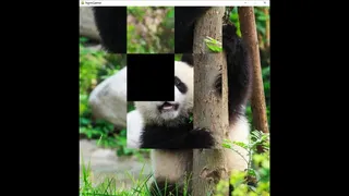 Скриншот 1 к игре hgmGame-panda