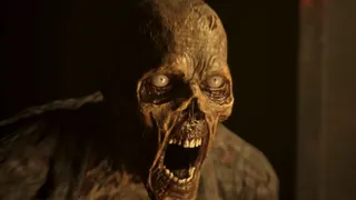Скриншот 8 к игре Zombie Ship