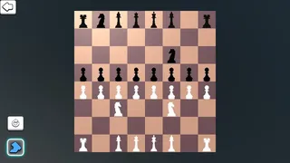 Скриншот 2 к игре Chess Bulk