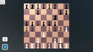 Скриншот 3 к игре Chess Bulk