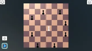 Скриншот 5 к игре Chess Bulk