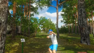 Скриншот 2 к игре Disc Golf Masters
