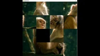 Скриншот 1 к игре hgmGame-monkey