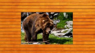 Скриншот 4 к игре Bear vs. Wolf Jigsaw Puzzle