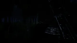 Скриншот 1 к игре Forest