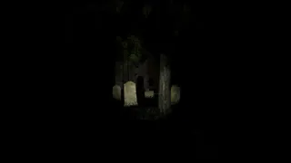 Скриншот 3 к игре Darkness in Reflection