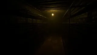Скриншот 5 к игре Unknown Host