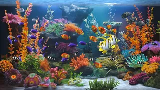 Скриншот 1 к игре Zen Aquarium