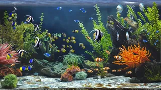 Скриншот 3 к игре Zen Aquarium