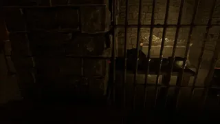 Скриншот 2 к игре Crowley Hotel. The JH Chronicles