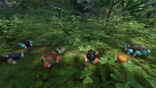 Скриншот 8 к игре Forest Floor