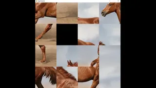 Скриншот 1 к игре hgmGame-horse