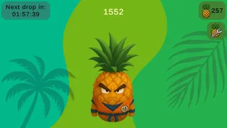 Скриншот 2 к игре Pineapple