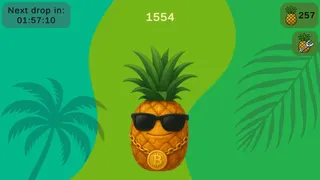 Скриншот 4 к игре Pineapple