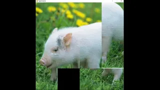 Скриншот 2 к игре hgmGame-pig