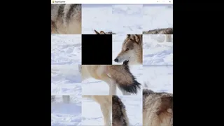 Скриншот 1 к игре hgmGame-wolf
