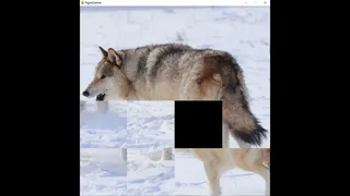 Скриншот 3 к игре hgmGame-wolf