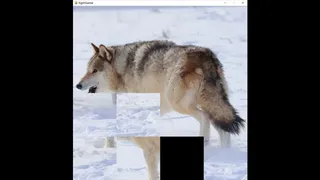 Скриншот 4 к игре hgmGame-wolf