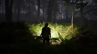 Скриншот 6 к игре Trail of the Cryptid