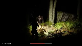 Скриншот 7 к игре Trail of the Cryptid