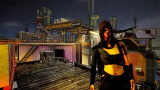 Скриншот 2 к игре Cats Ritual