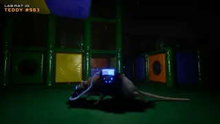 Скриншот 1 к игре Cyber Rats