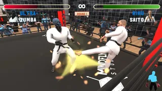 Скриншот 1 к игре ARVIS Knock Out!