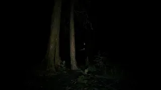 Скриншот 8 к игре The Child