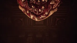Скриншот 3 к игре Anomaly Mansion